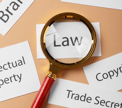 Copyright Protection and Registration